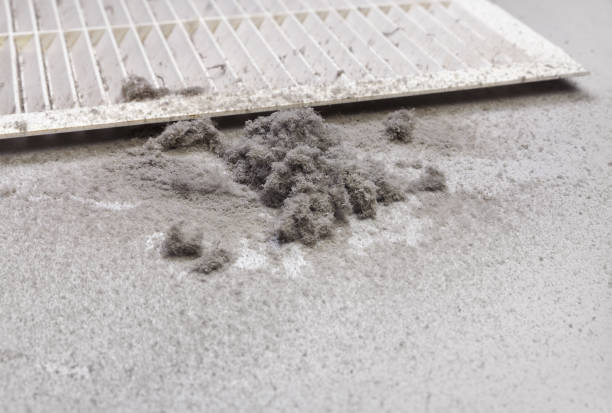 Best Ductwork Cleaning Services  in Thomasboro, IL