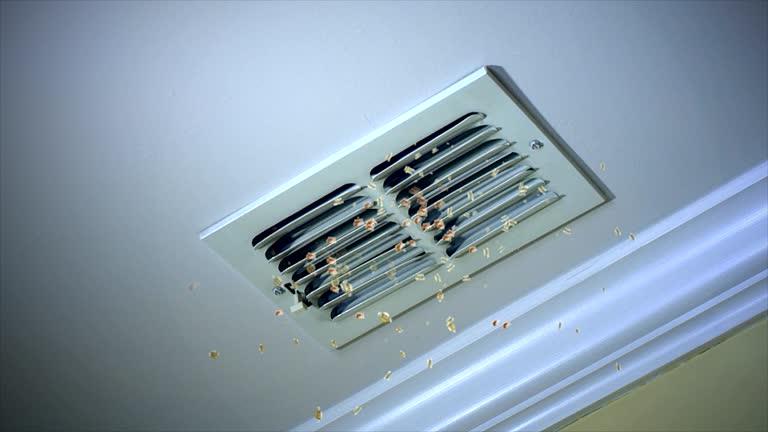 Best Best Air Duct Cleaning Company  in Thomasboro, IL