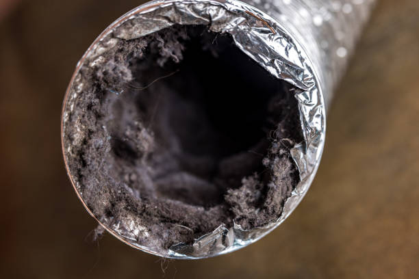 Best HVAC Duct Inspection Services  in Thomasboro, IL