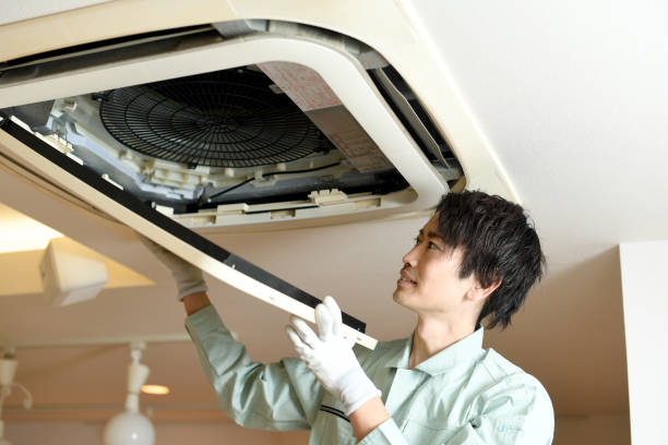 Best Professional Duct Cleaning Services  in Thomasboro, IL