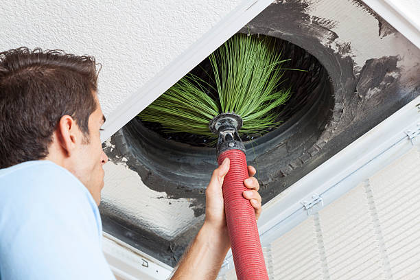 Best HVAC Maintenance and Cleaning  in Thomasboro, IL